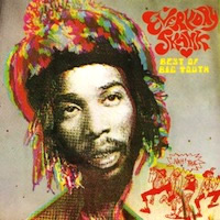 big-youth_everyday-skank