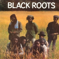 black-roots_black-roots