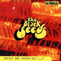 black-seeds_keep-on-pushing