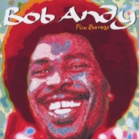 bob-andy_fire-burning