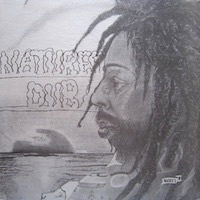 bullwackies-all-stars_natures-dub