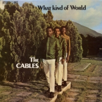 cables_what-kind-of-world