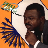 chaka-demus_gal-wine