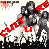 culture_vital-selection
