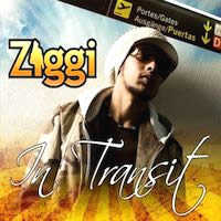 ziggi-recado_in-transit
